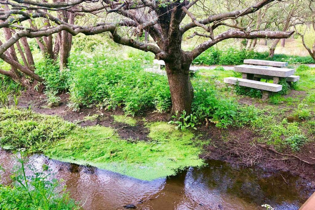 Апартаменты Junto Camino De Santiago,1ª Linea De Playa Финистерре Экстерьер фото
